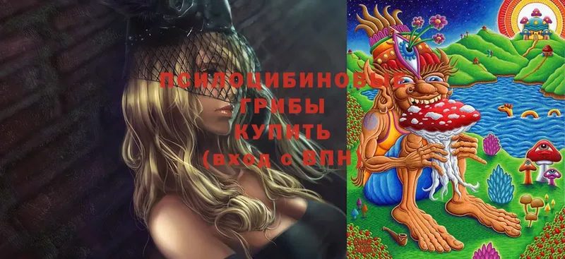 Галлюциногенные грибы Cubensis  Менделеевск 